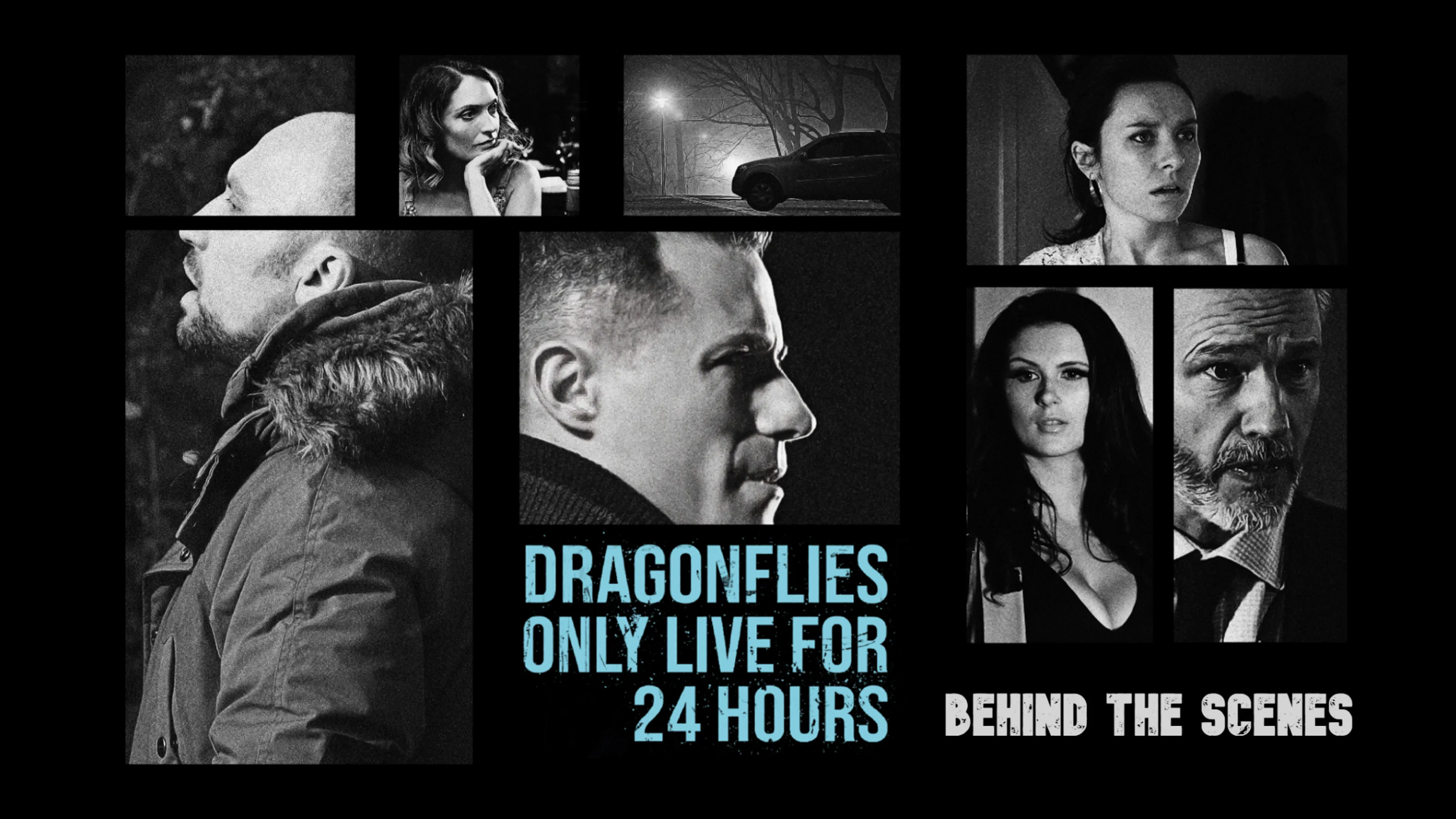 Dragonflies only Live for 24 Hours: Behind the Scenes poster